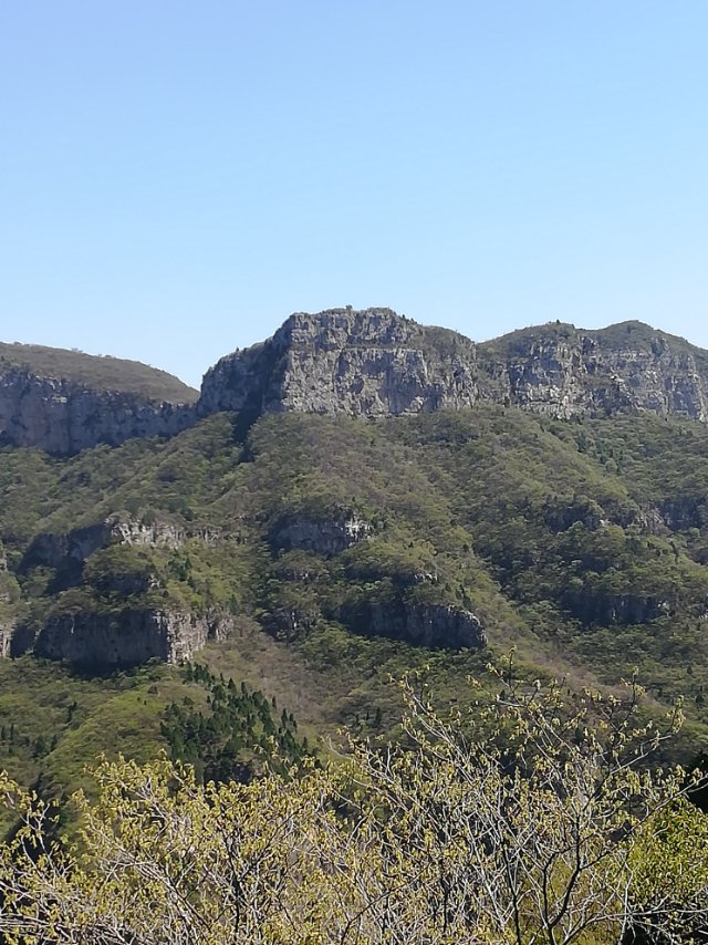 濮阳市多发传染病培训班