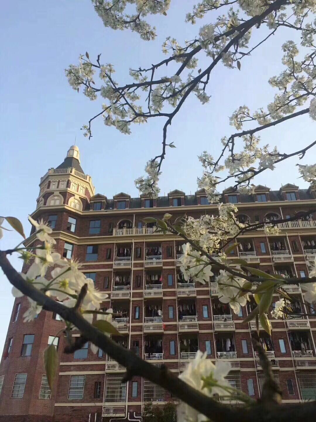 春暧花开的电科