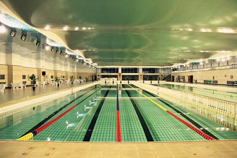 七台河市游泳馆祝全市人民  旺旺旺