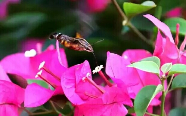 10月13日蓮花山徒步活動