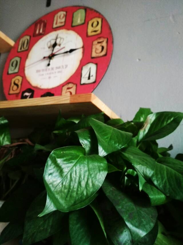 哈尔滨巨匠装饰工程设计有限公司